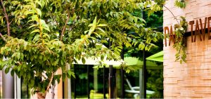 green_living