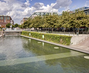 explore the area