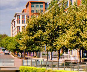 A lot of effort has gone into making our apartment community as good for the environment as it is for our residents