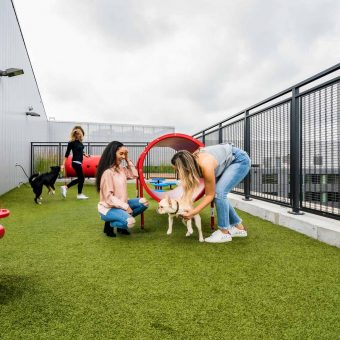 Pet-friendly environment with pet spa, wash station and rooftop dog walk.
