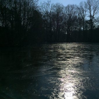 Anacostia River Explorers RiverSmart Educational Boat Tours