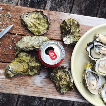 Oct. 26 Near Insignia on M: Old Ebbitt Grill’s 25th Annual Oyster Riot!