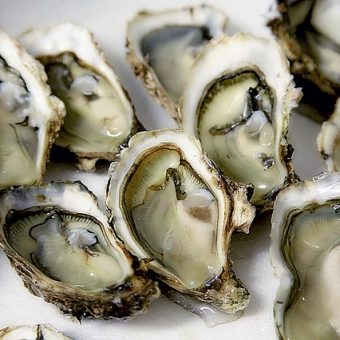 This Weekend in DC: The Oyster Wars Seafood Festival!