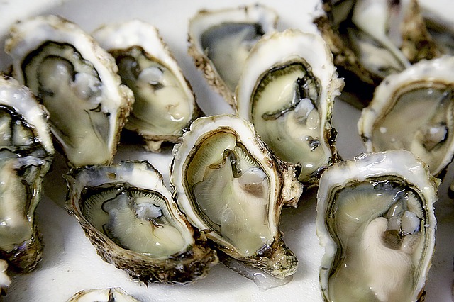 This Weekend in DC: The Oyster Wars Seafood Festival!