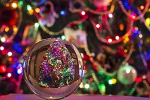 Don't Miss BrewLights at ZooLights, Returning Dec. 12 to the National Zoo