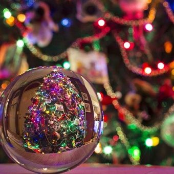 Don’t Miss BrewLights at ZooLights, Returning Dec. 12 to the National Zoo