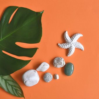 How to Make Your Apartment Feel Like a Summer Oasis