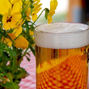 Join the CSB Program at 3 Stars Brewing Company