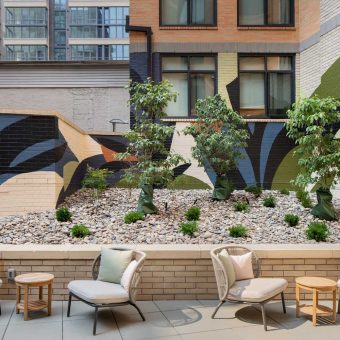 Serene outdoor courtyard featuring water-efficient landscaping